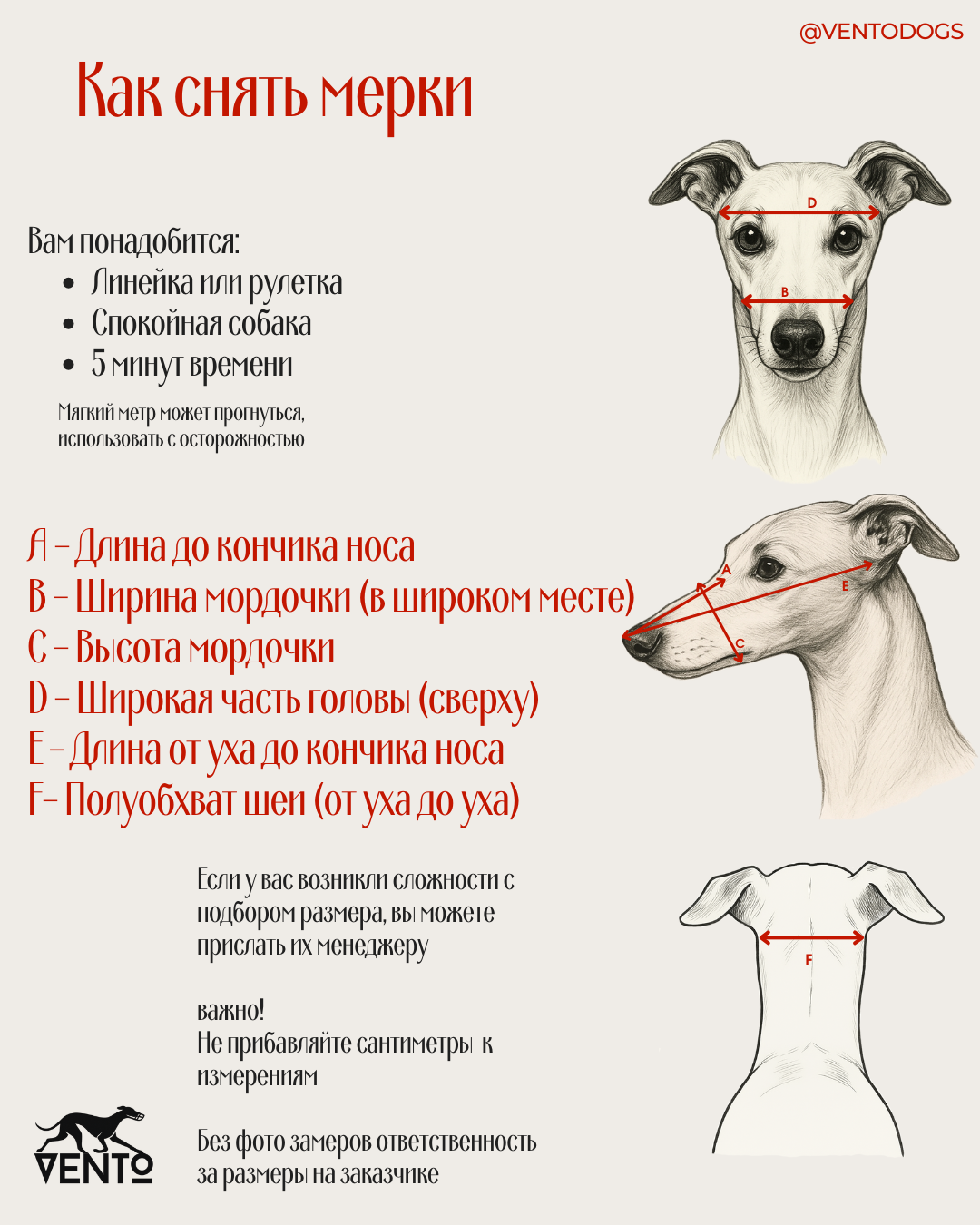 Схема снятия мерок с собаки