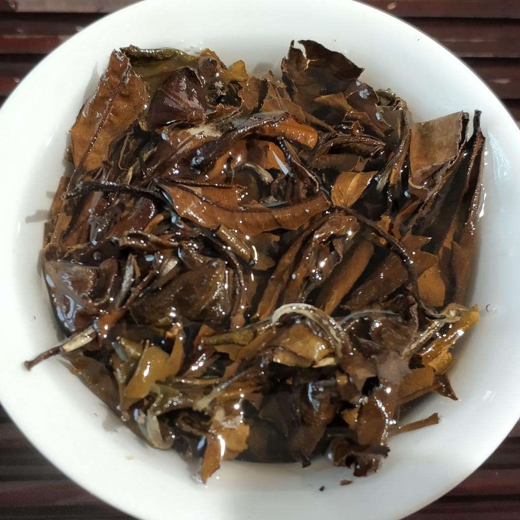 Gong Mei Amber Infusion