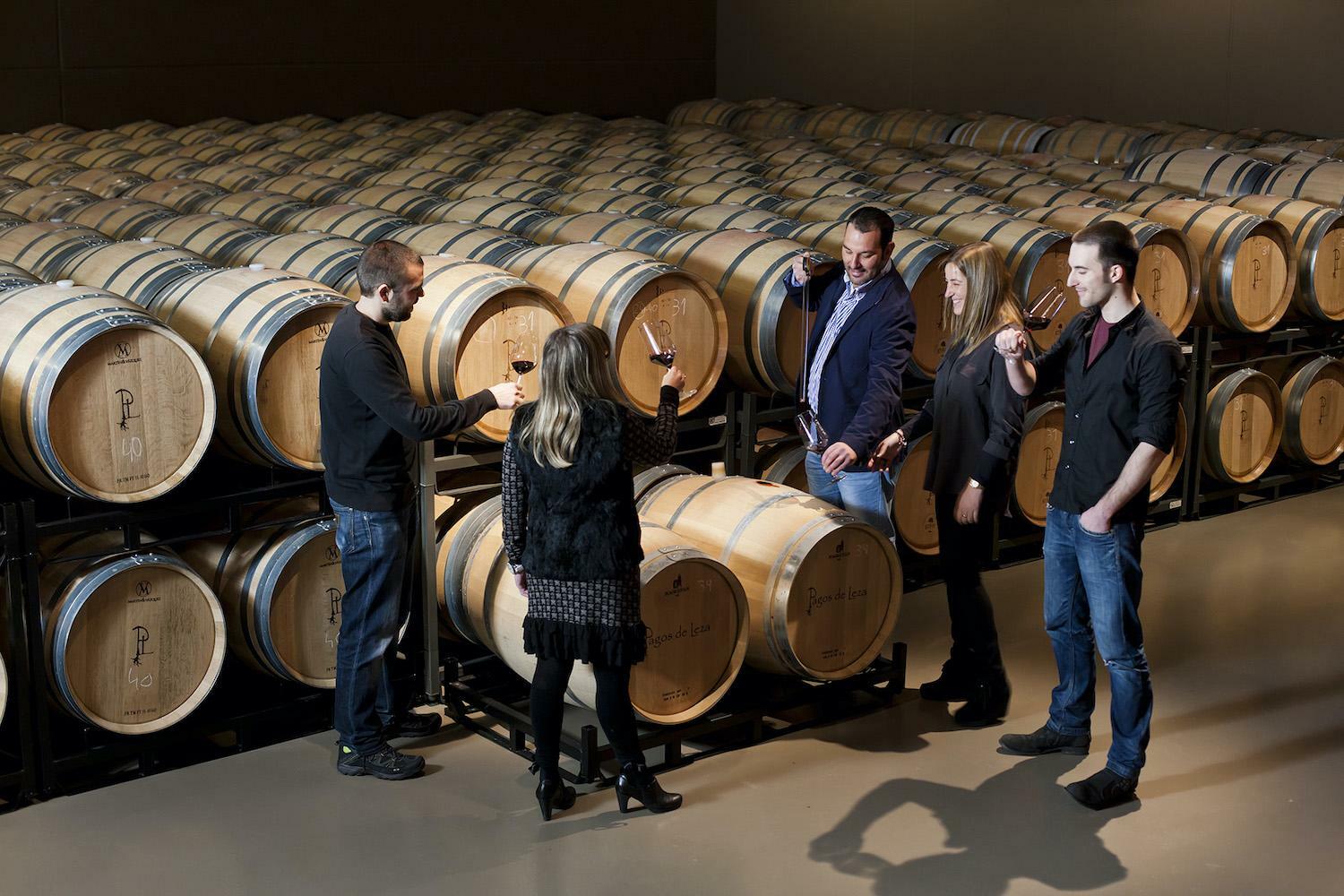 Wine tours with tastings of Spain's delicious wines