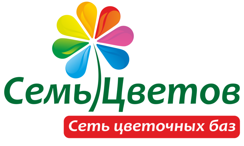 Семь цветов. Семь цветов Сургут. 7 Семь цветов. Сургут 7цветов 7 цветов каталог.