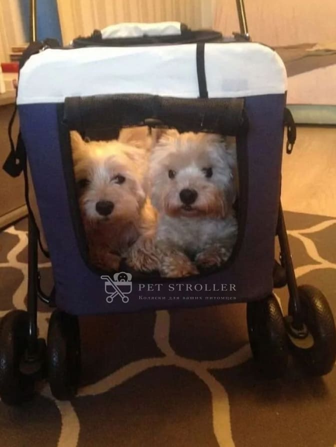 Коляска прогулочная для собак bl09 отзывы