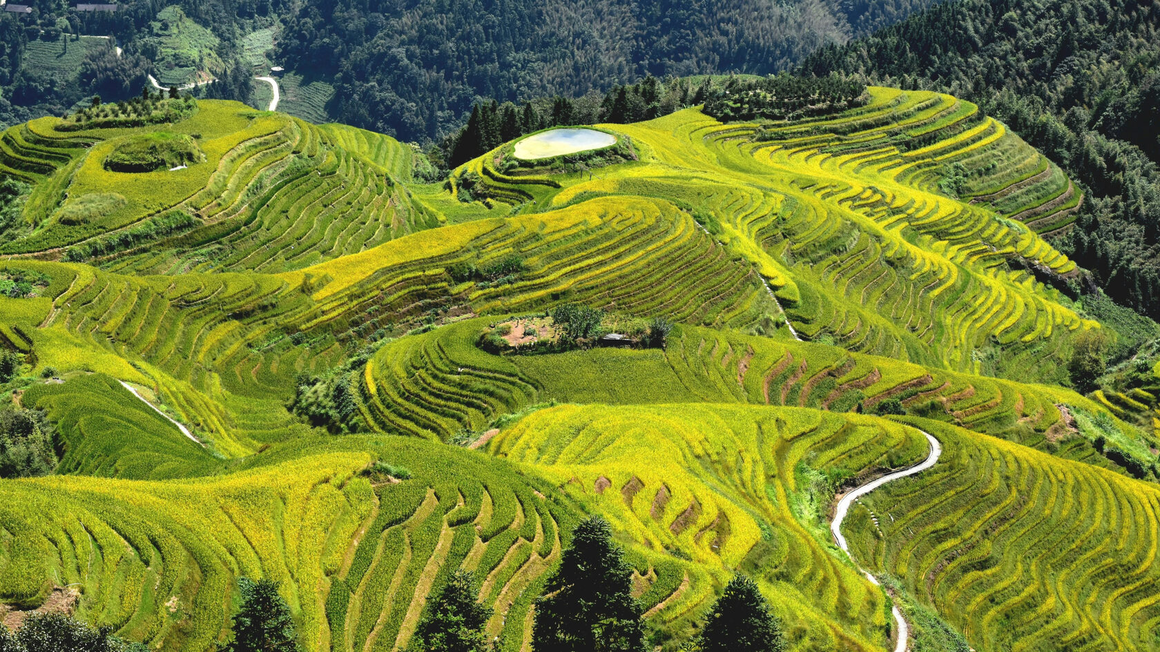 Город Гуйлинь. Китай.