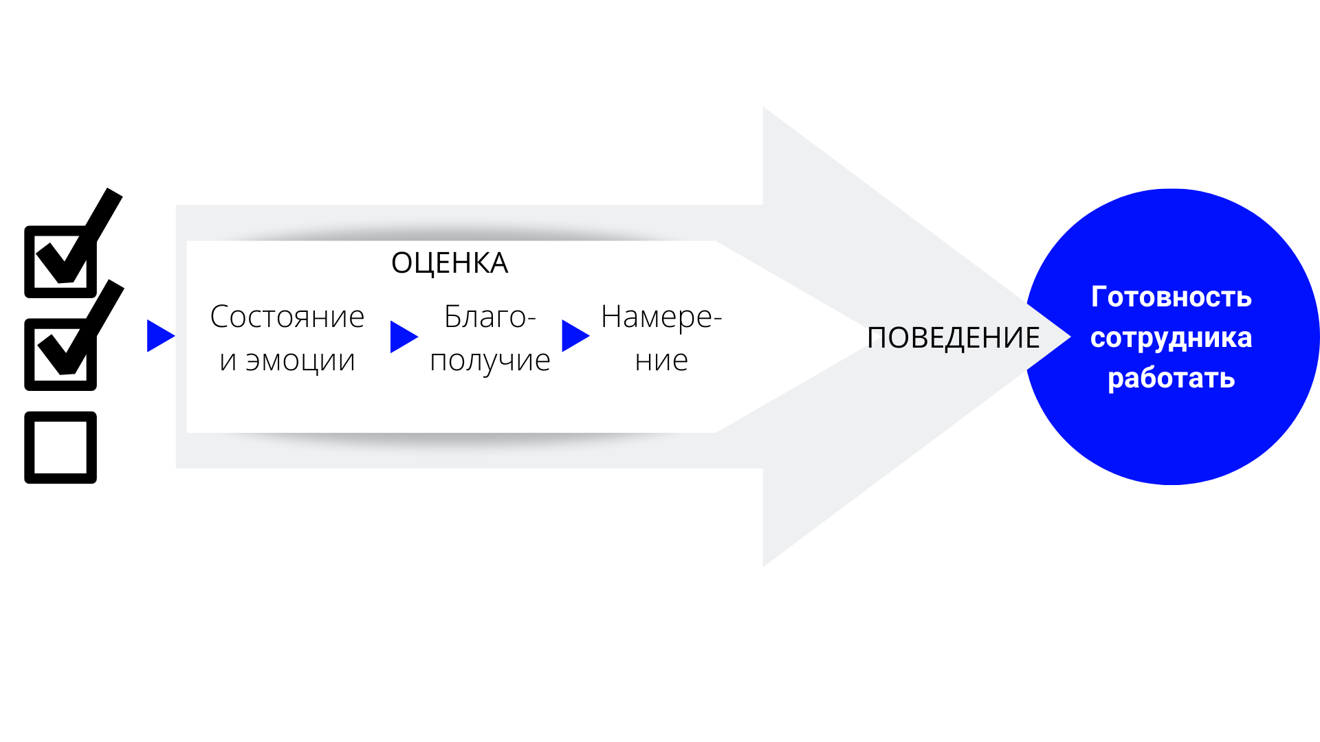 Выберите 5 этапов проекта исходя из принципа 5п