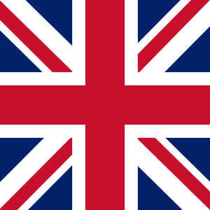 website icon