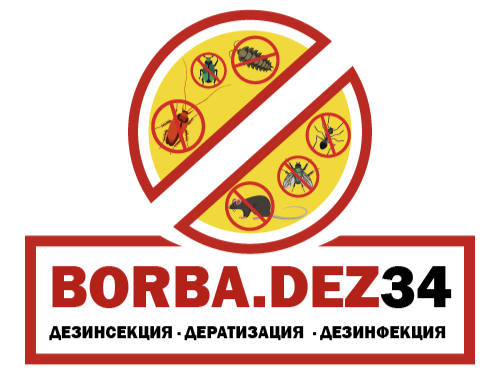 BORBA.DEZ34