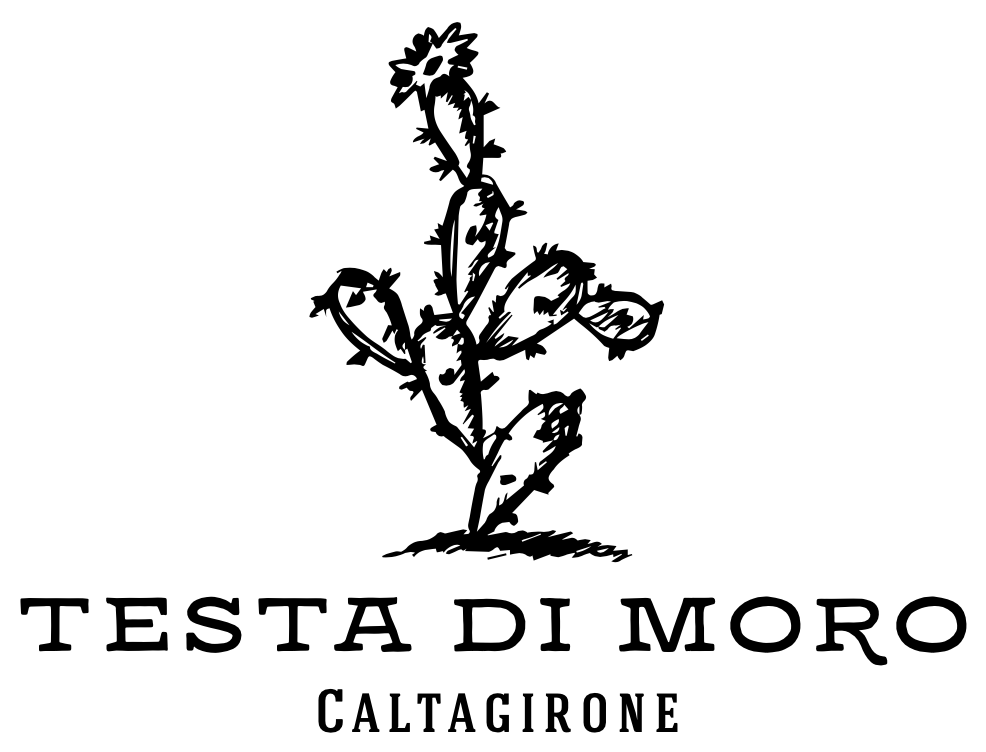 TESTA DI MORO Caltagirone