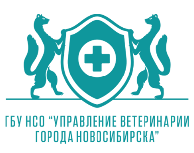Партнёр 4