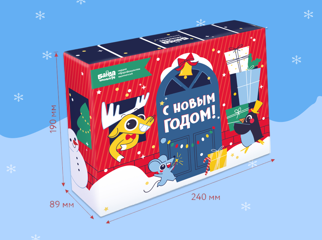 Упаковка 240×190×89 мм