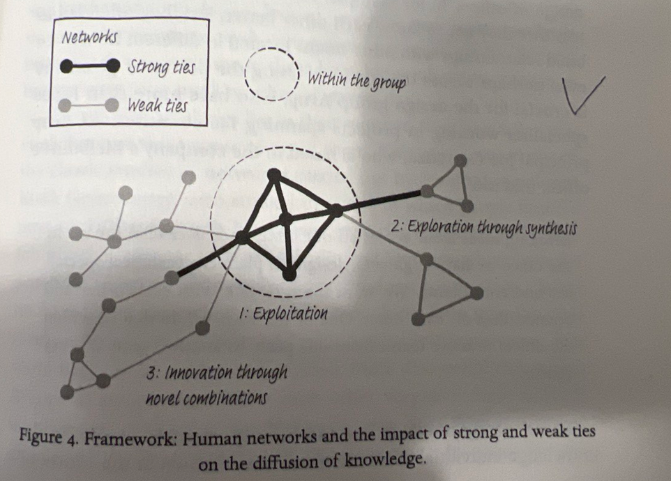 Человеческие сети и влияние сильных и слабых связей на распространение знаний.