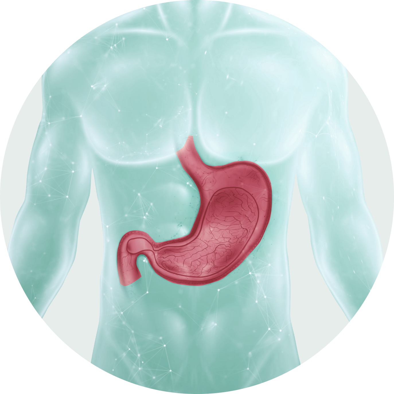 Курс «Здоровье желудка»