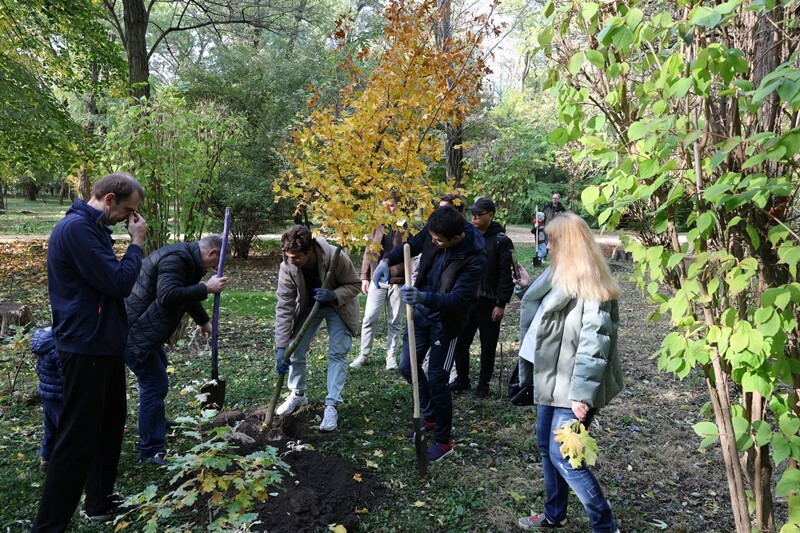 Осенний день древонасаждения
