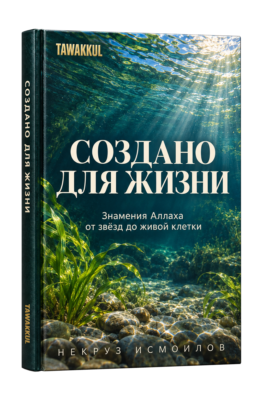 Создано для жизни. Обложка книги