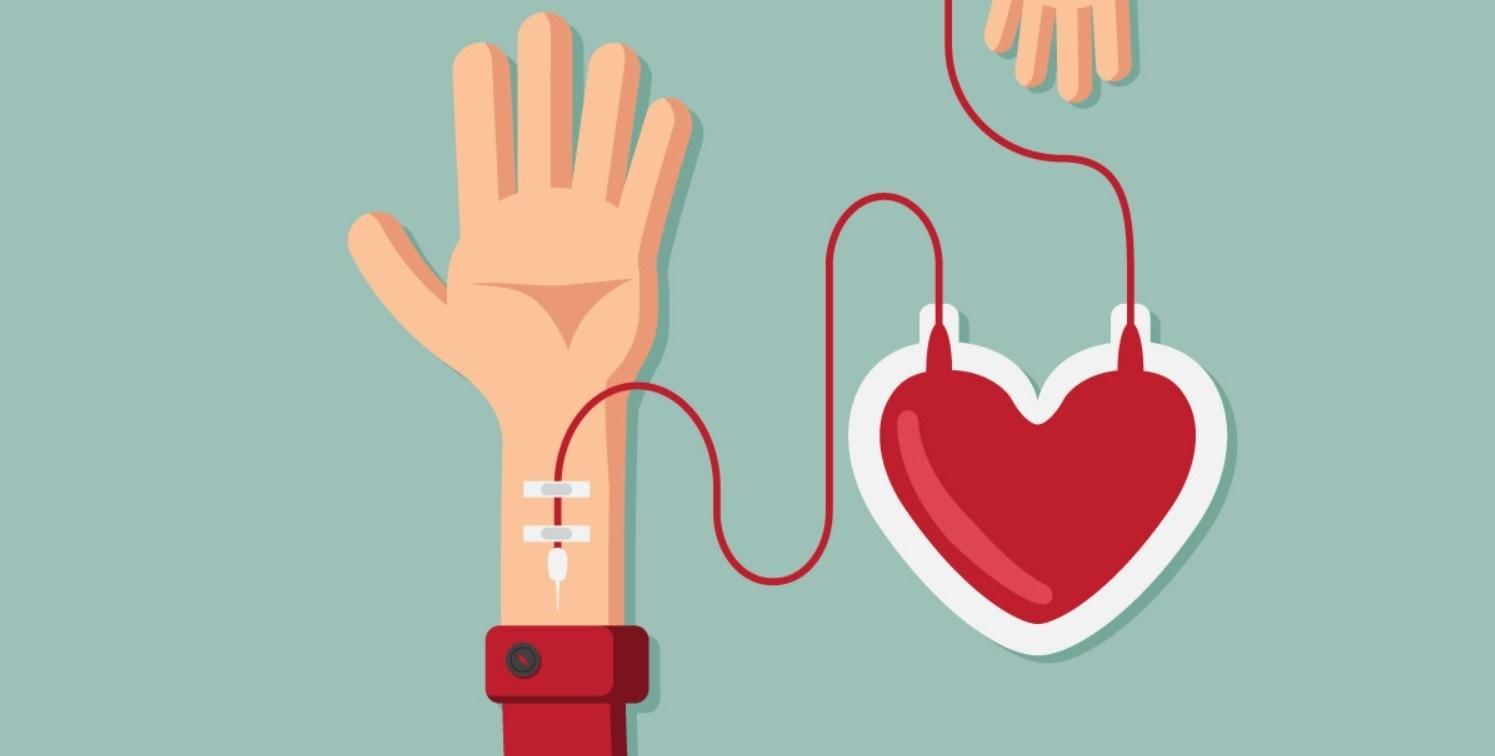 14 июня День донора крови: Geek Hostel Воронеж 2025