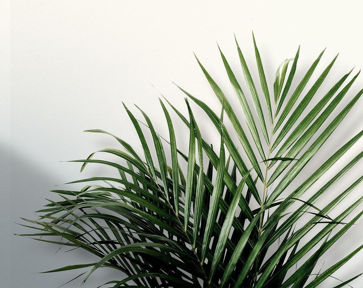 Гармония лица массаж лица косметолог Московский район Санкт-Петербург СПБ