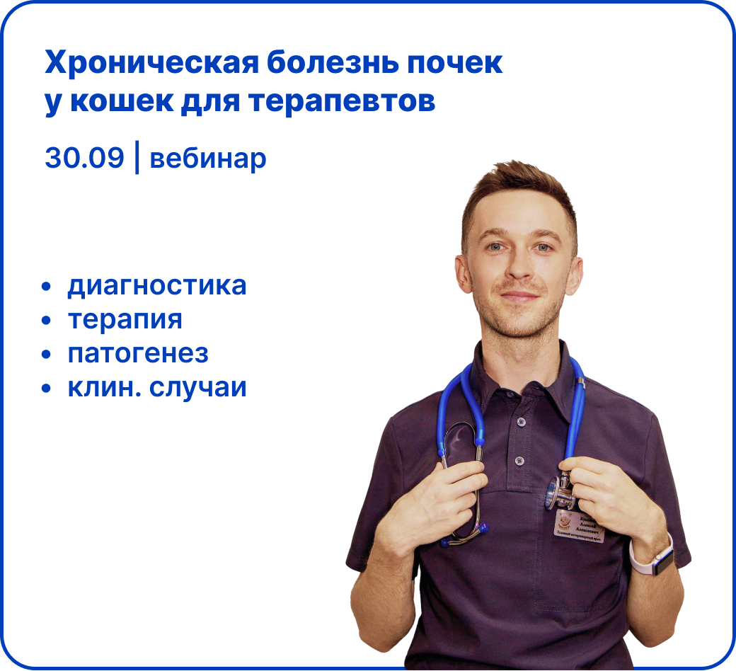 Вебинар "Хроническая болезнь почек у кошек для терапевтов"