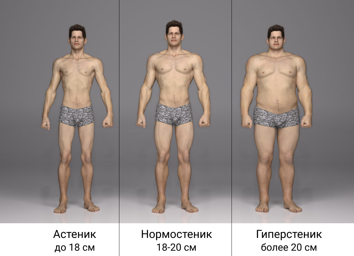 Эктоморф мезоморф и эндоморф мужчины. Типы телосложения у мужчин мезоморф. Эндоморф эктоморф некроморф. Телосложение эктоморф мужчина.