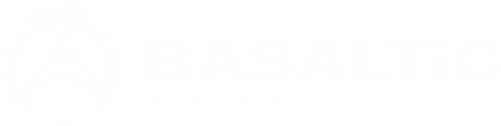 Company