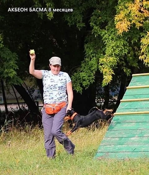 Акбеон Басма, холерик-аппортировщик в полете.