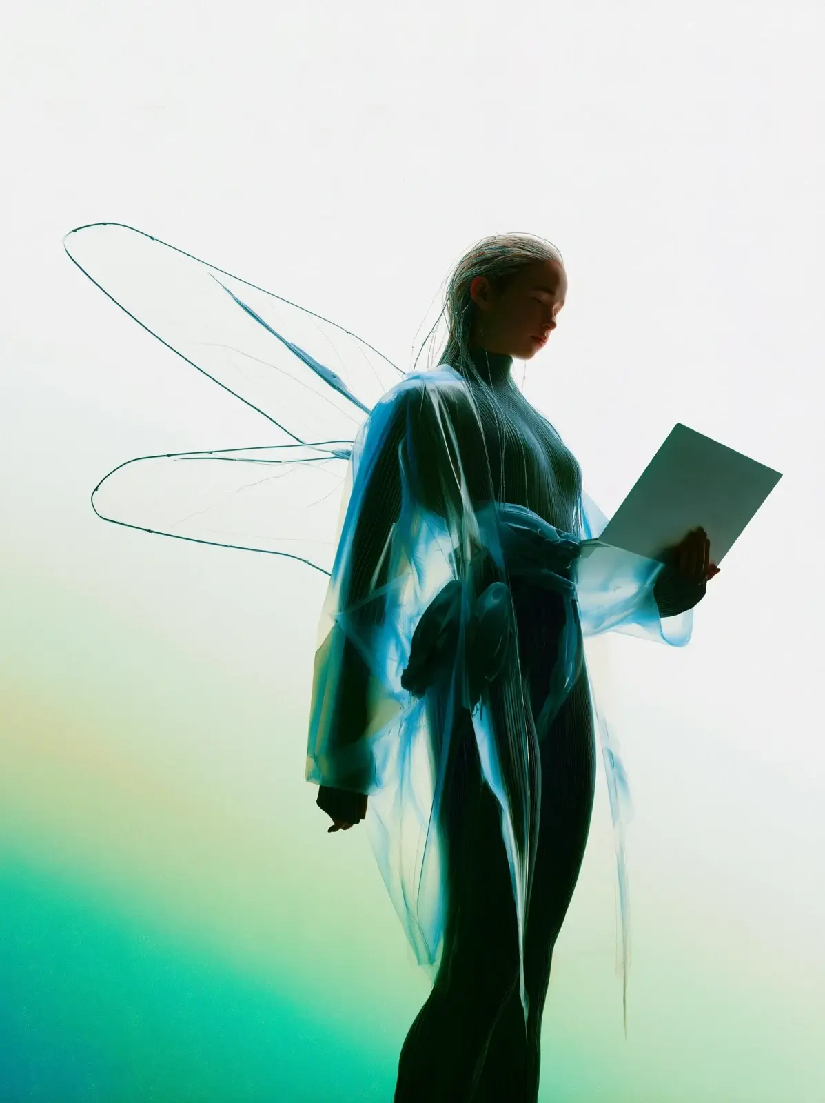 Winged character — вариант 1