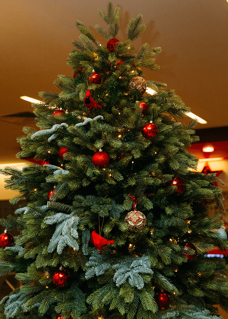 как украсить елку на 2026 , новый год 2026 тренды, тематика нового года 2026 