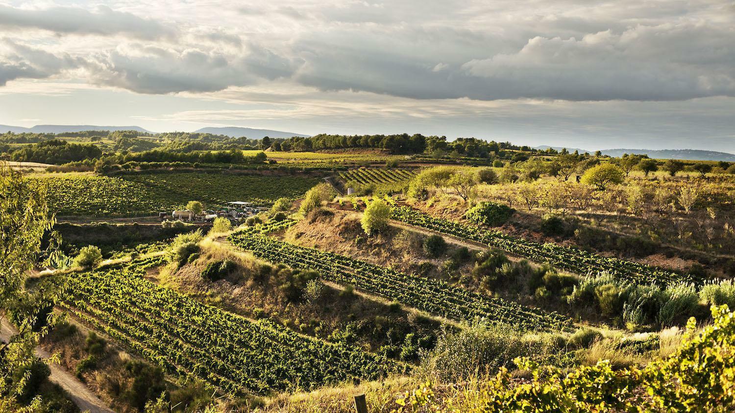 Wine tour from Barcelona for 2 days | Casamiga Events