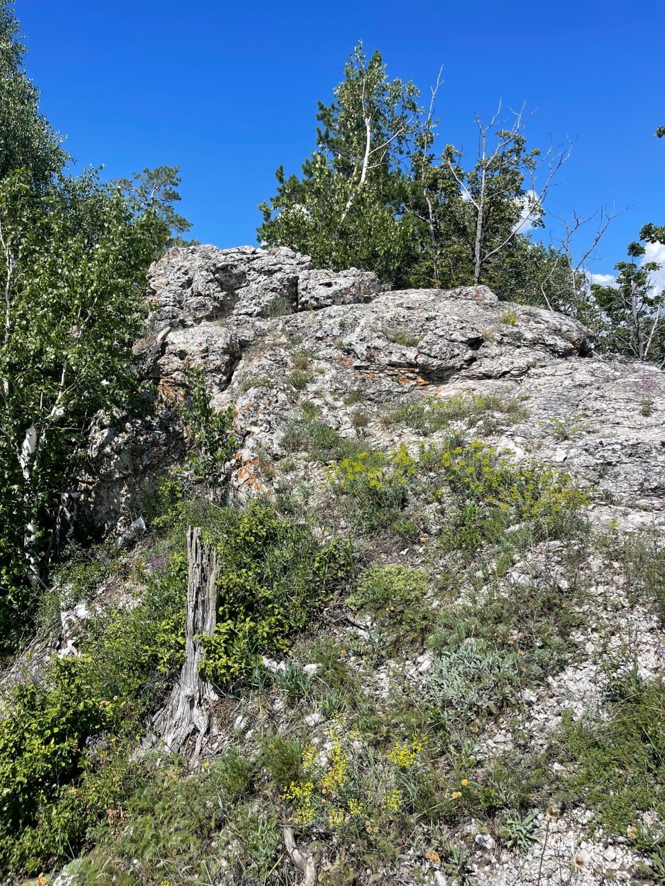 Самарская Лука фото 7