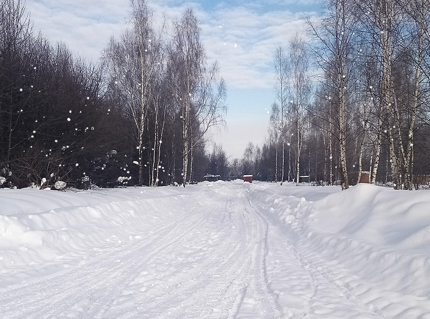 Сайт поселка. Флора парк 2.