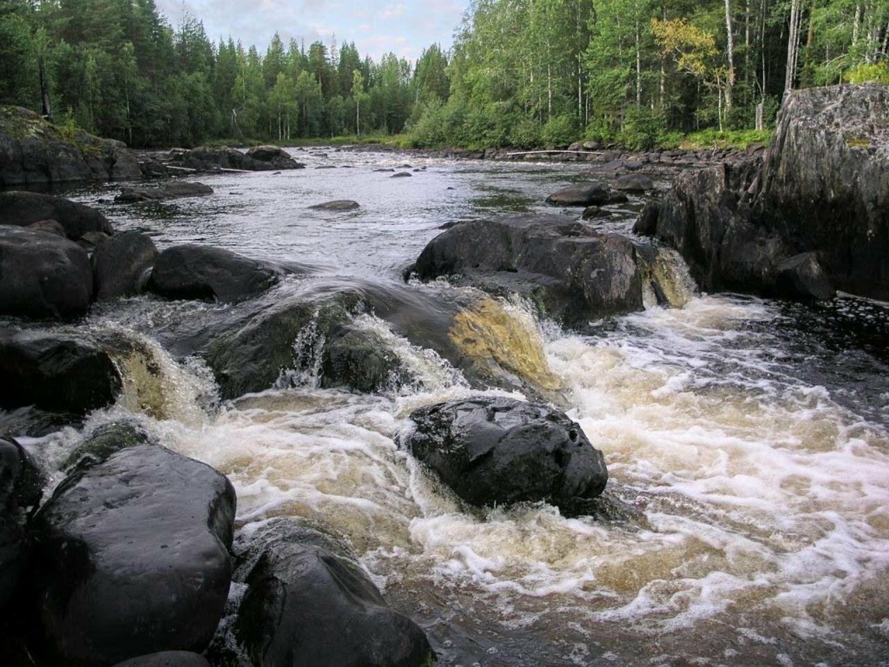 Сплав на байдарках река ШУЯ