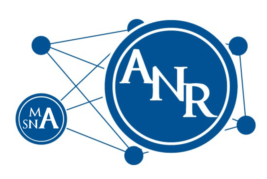 ANR-Lab HSE