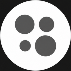 website icon