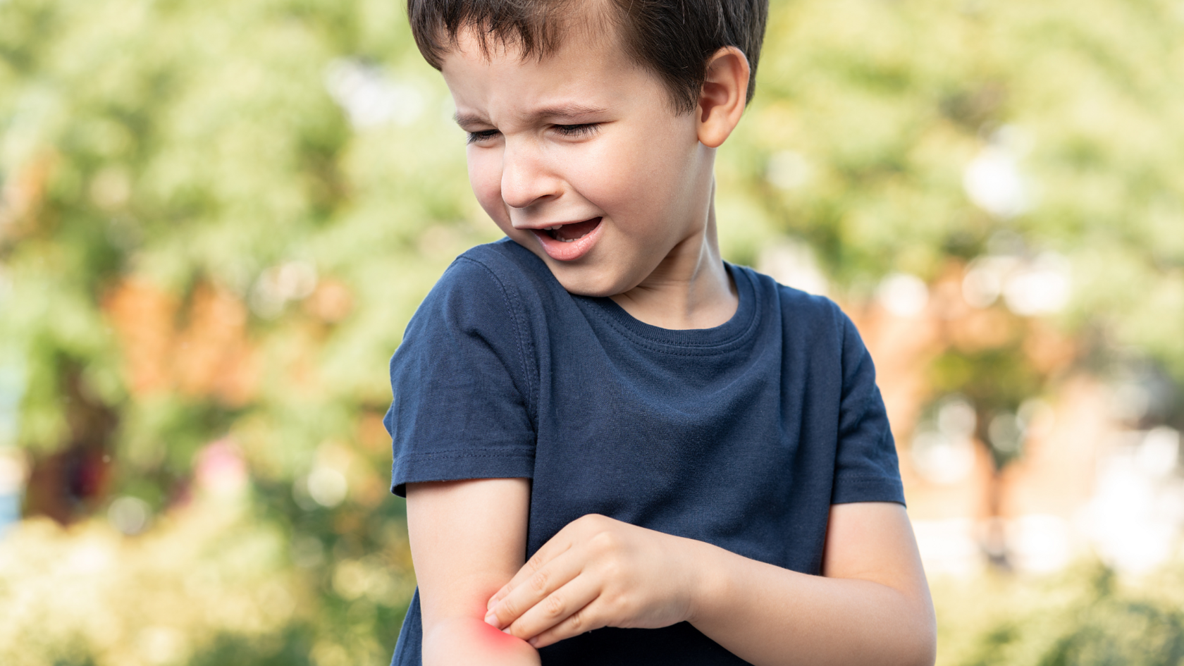 Что делать сразу после укуса