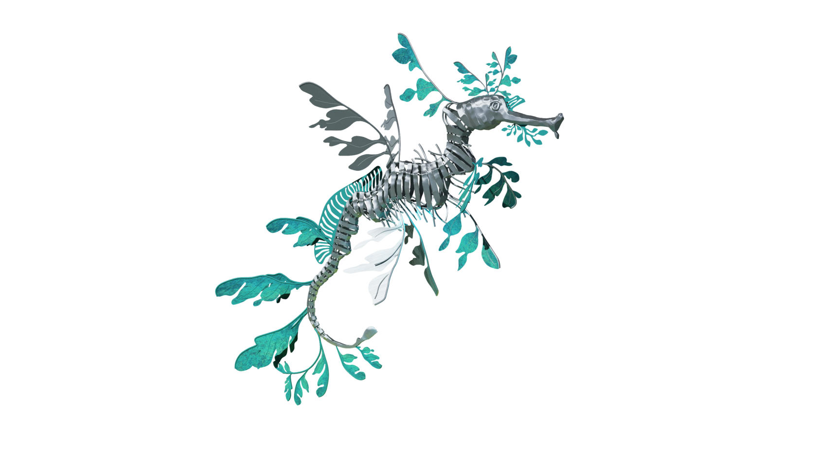 морской конек