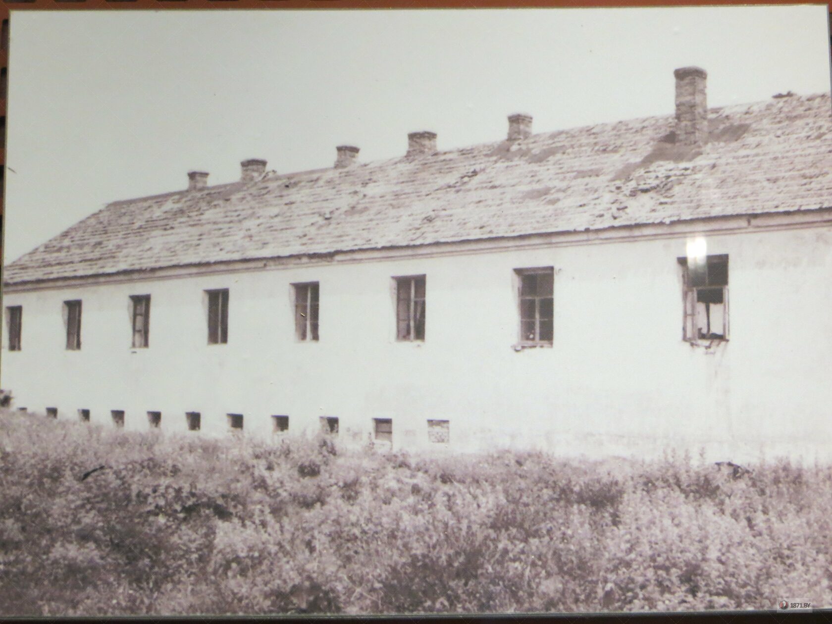 Казнь голых девушек Украинские женщины рассказывают о насилии со стороны российских военных, а журналисты ищут насильников | OCCRP