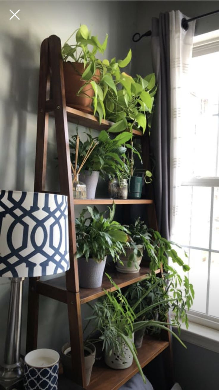 Полки на балкон для цветов