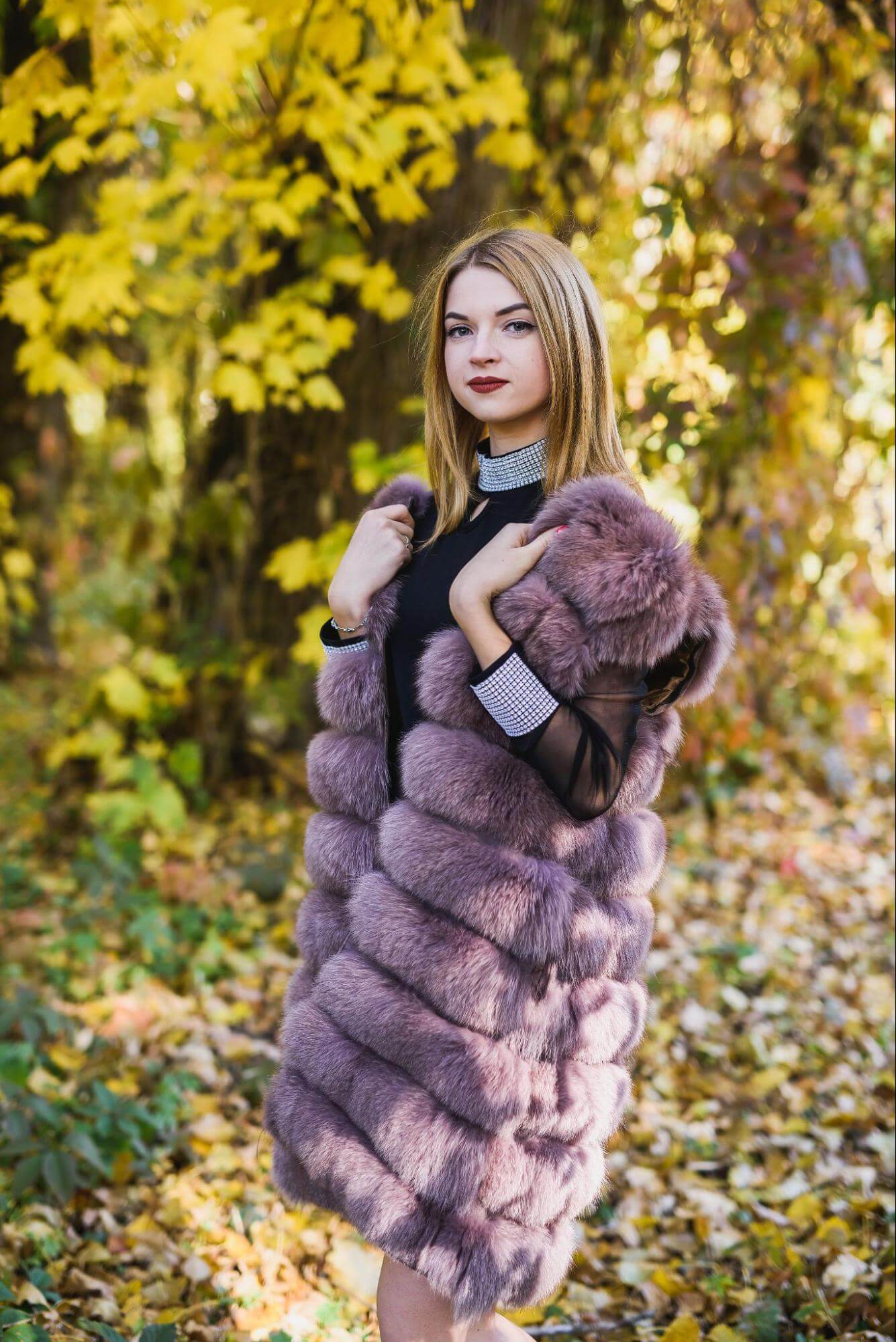 чем отличается соболь от песца