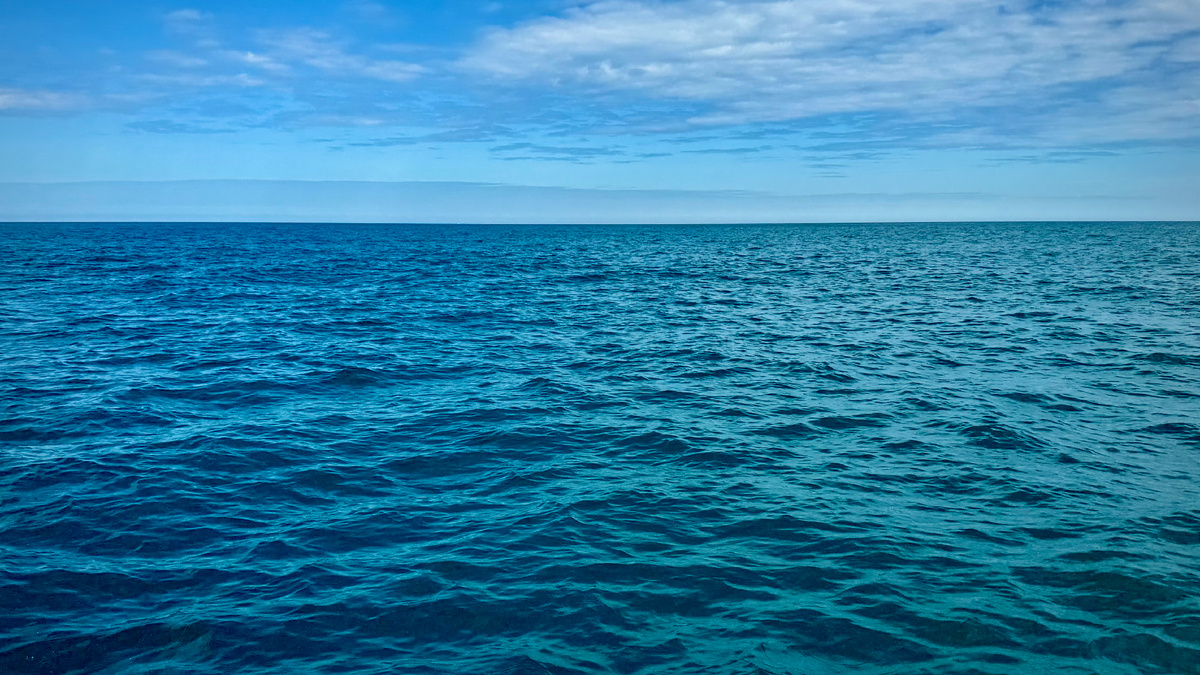 Барнцево море