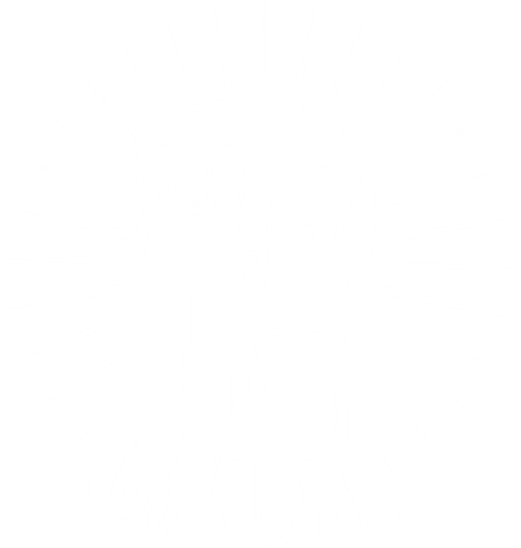 Лучшие рукоятки для Армрестлеров