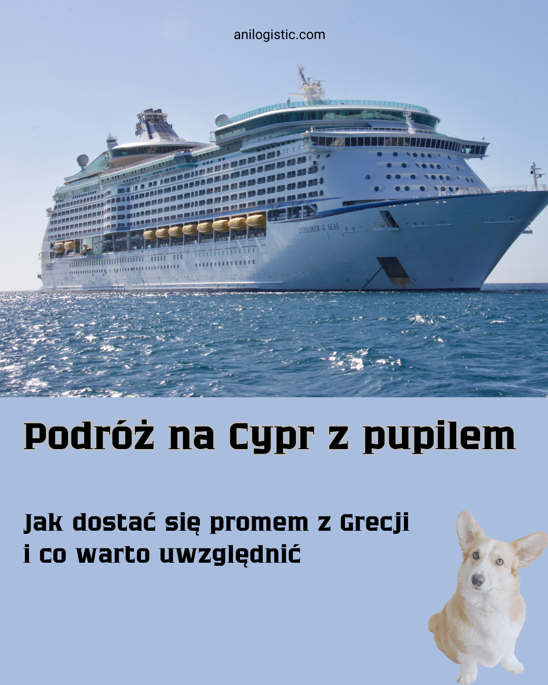 **Alt-text po polsku:**  Pies podróżujący promem na trasie Grecja–Cypr w kabinie pet-friendly z właścicielem  Можно также чуть более SEO-вариант:  Podróż z psem na Cypr promem Grecja–Cypr w kabinie pet-friendly w 2026 roku