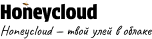 Company