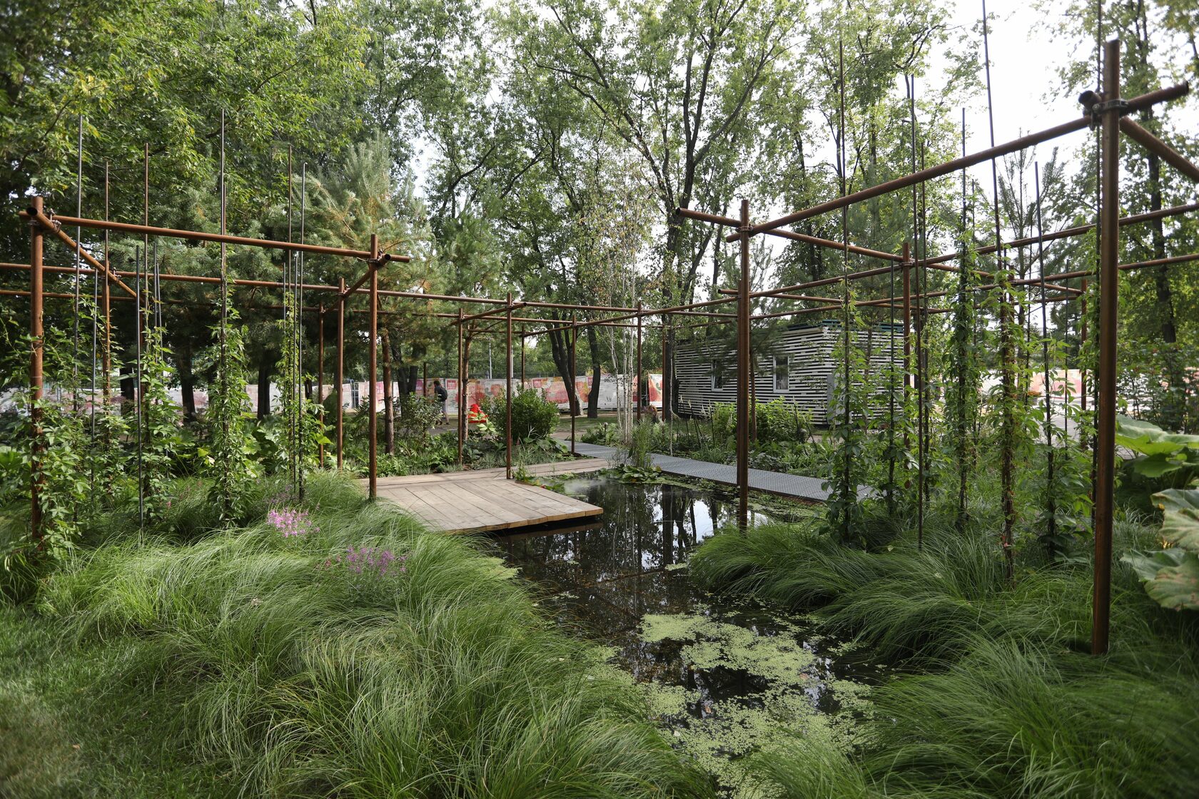 Обзор выставки \"Сады и люди\" 2022: на что обратить внимание владельцам ...