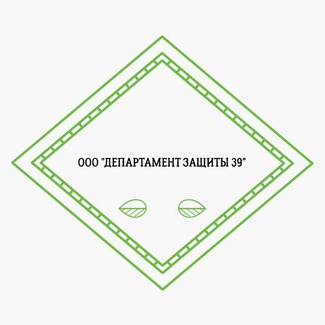 Департамент Защиты 39