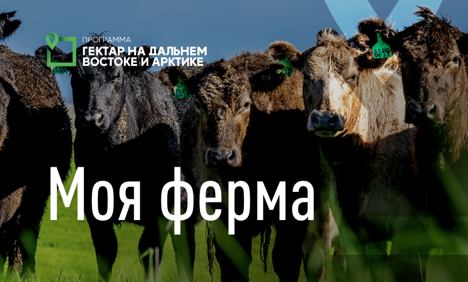 Умная ферма презентация