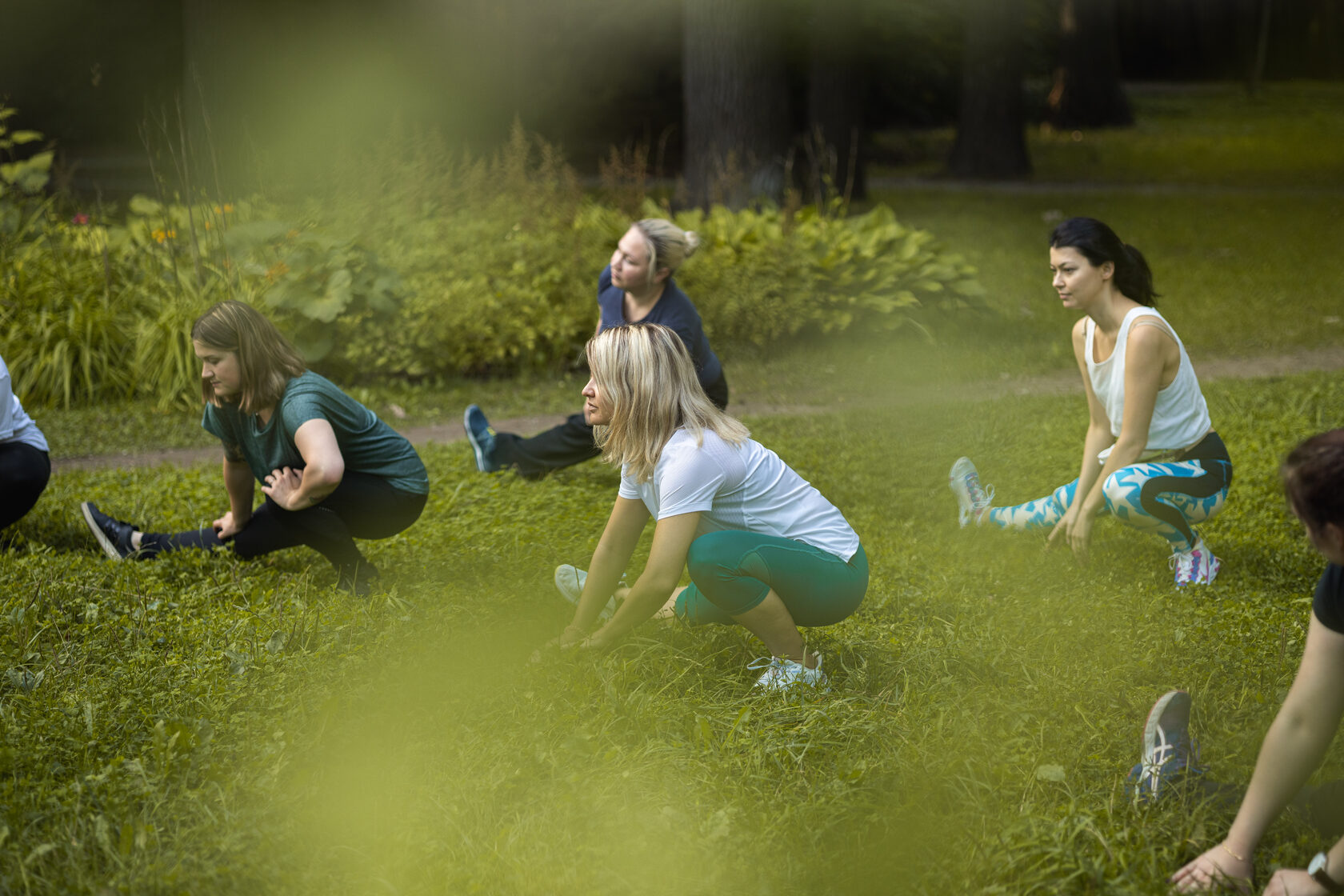 Methandienon � ������ ���������: ����.