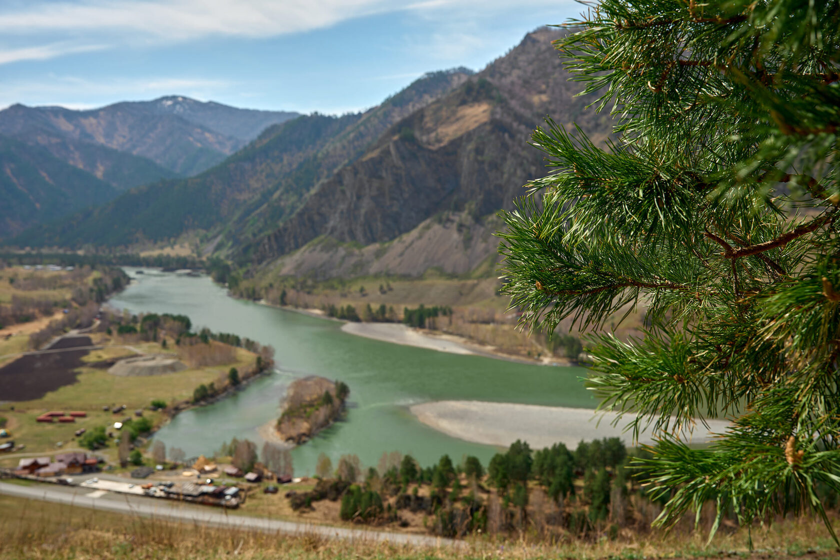 Маралы вблизи — уникальные обитатели заповедного парка Маральника
