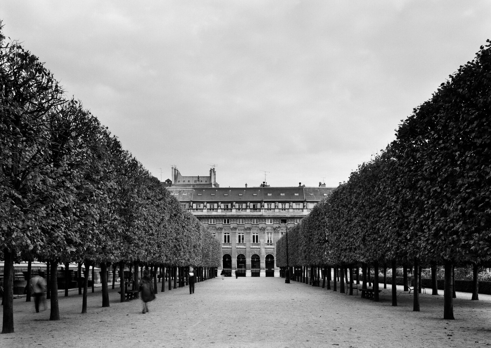Tuileries Garden. Paris. 2007. BW Negative 6×7.