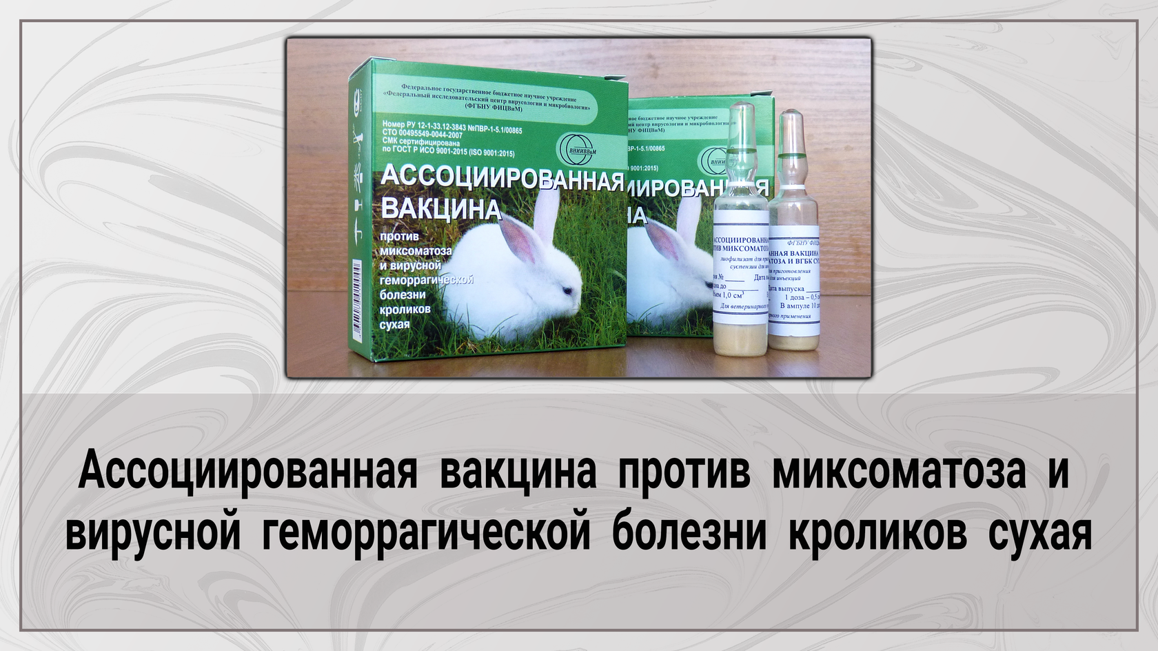 Вакцина против миксоматоза кроликов. Вакцина ВГБК+миксоматоз. Вакцина для кроликов против ВГБК И миксоматоза. Вакцина против миксоматоза кроликов и ВГБК инструкция.