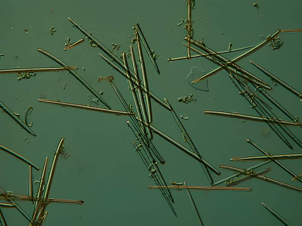 Спикулы в корейской косметике