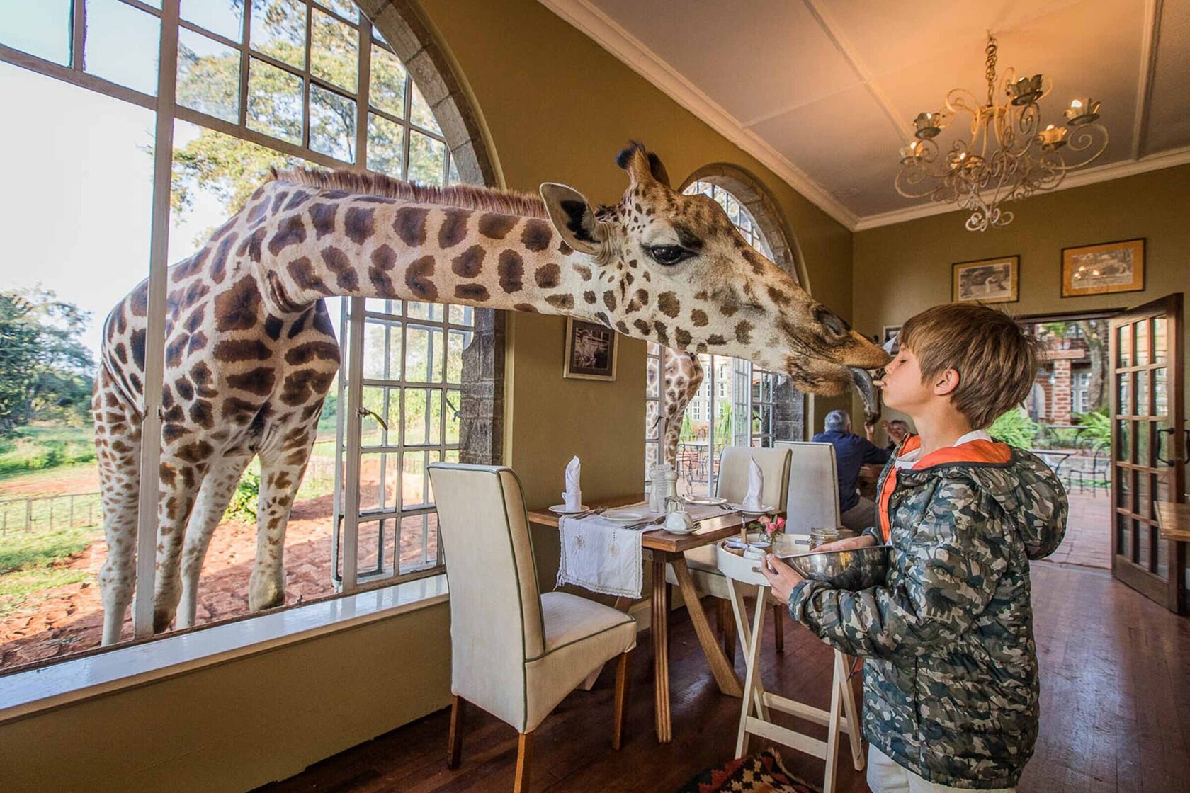 Giraffe Manor Hotel: отдых с жирафами по-соседству