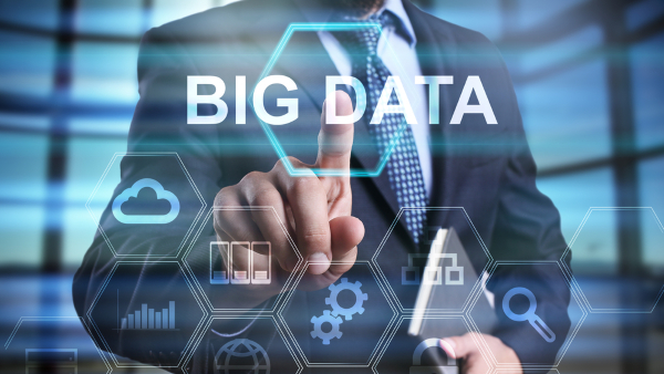 data разработчик