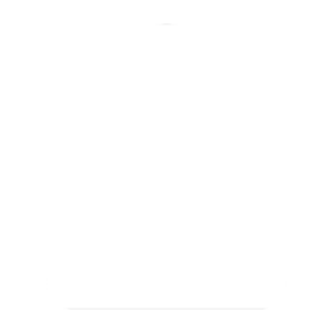 website icon